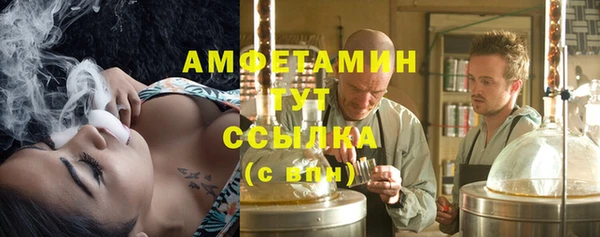 шишки Армянск