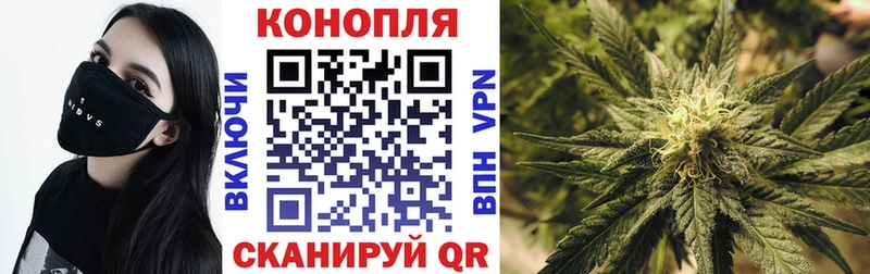 Бошки марихуана VHQ Краснодар